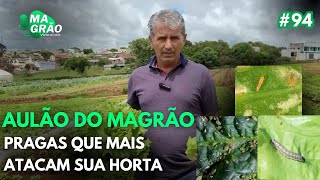 AULÃO DO MAGRÃO  PRAGAS QUE MAIS ATACAM SUA HORTA  MAGRÃO VÍDEOCAST 94 [upl. by Lodovico]