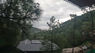 Orillia resort kasauli [upl. by Meekyh]