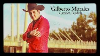 Gilberto Morales  Gaviota Perdida Full Album [upl. by Gyasi]