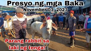 UPDATED  Presyo ng Baka sa Padre Garcia Batangas The Cattle Trading Capital of the Philippines [upl. by Renie632]