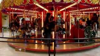 Panasonic LUMIX FZ200 Test Video High Speed Mode 120fps HD Carrousel [upl. by Shina]