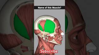 temporalis muscle anatomy  temporalis muscle release foryou shorts [upl. by Aretha]