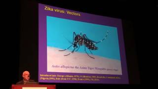 Zika Symposium at 2016 International Congress of Entomology [upl. by Saideman]