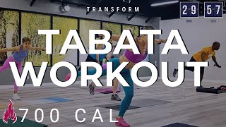 60min FullBody Burn Tabata  Abs Light Weights Body Sculpting Weight Loss  Shred Belly Fat [upl. by Ahsinauq]