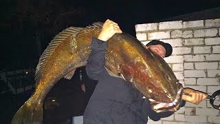 WEIGHING THE GIANT JEWFISH  YouFishTV [upl. by Aitam]