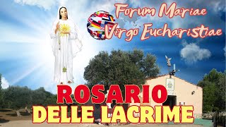 592024  ROSARIO DELLE LACRIME A MARIA SANTISSIMA [upl. by Aikin112]