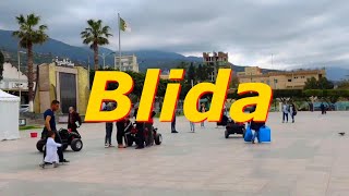 La Rose de la Mitidja  Blida  en Algérie  Voyage Vidéo [upl. by Clancy]