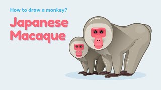 How to draw a monkey  Japanese Macaque Easy and simple drawing Animal character design tutorial [upl. by Jeramey]