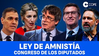 Pleno de votación de la ley de amnistía en el Congreso de los Diputados [upl. by Naima]