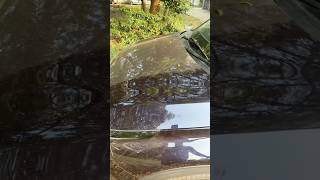 How to remove dust from cars in seconds kiacarensreview dustcleaning carhealth waterlesscarwash [upl. by Beck]