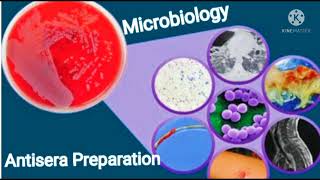 Antisera preparation part 1Microbiology exams mcqs [upl. by Lowry]