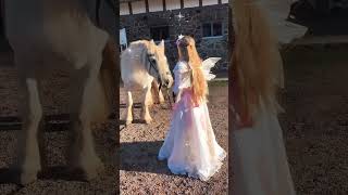 🧚 Feen amp Elfen 🧚‍♀️ landurlaub horse travel urlaub naturelovers nature luxuswohnungen [upl. by Nilyam]