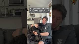 Dogs who own people have the best immune systems 🧼 dogfunny funnydogs dogdad dogs dogcomedy [upl. by Justin]