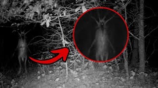 SCARY Skinwalker Sightings Of 2023 [upl. by Idak]