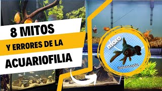 quotMITOS Y ERRORES Comunes en Acuariofilia Lo que NO Debes CREER Para Tener un Acuario Saludable [upl. by French]