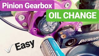 PINION GEARBOX OIL CHANGE  How to change P112 oil  EASY [upl. by Aikin353]