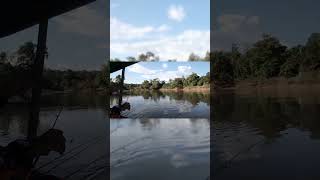 Kuat tarikannya  mancing udang galah [upl. by Nikos]