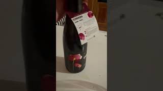 ALDI Wine Reviews LaCheteau Chinon Cabernet Franc Soleil des Vignes 2022 shorts aldi [upl. by Ahsieyk]