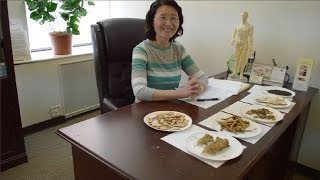 Chinese Herbal Medicine Introduction by Dr Feng Liang [upl. by Alehtse]