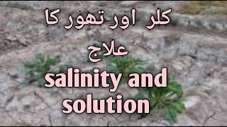 Soil salinity and its solution [upl. by Narih]