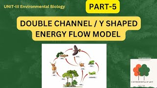 Y shaped energy flow model Double channel energy flow model [upl. by Fanchon]