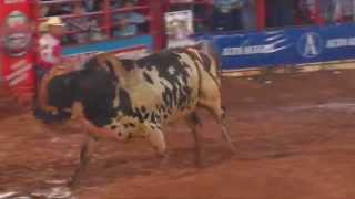 Final rodeio de Colorado  PR 2014 com Almir Cambra [upl. by Revolc]