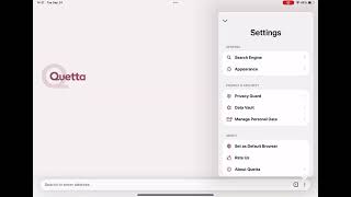 Discover the ultimate browsing experience on Quetta Browser for iOS iPad [upl. by Ainedrag]