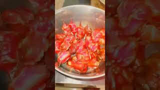 pani fol food foodie homemade specialrecipe youtubeshorts ytshorts tuktakranna67🍠 [upl. by Saturday]