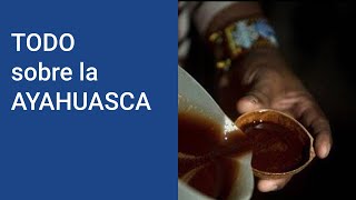 AYAHUASCA ¿Qué es la ayahuasca y que EFECTOS tiene la ayahuasca ¿Dónde pruebo la ayahuasca [upl. by Ivzt91]