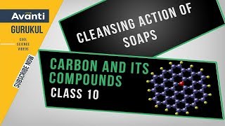 Cleansing action of soap  Soaps and Detergents  Carbon and its Compounds Class 10 [upl. by Janaya570]