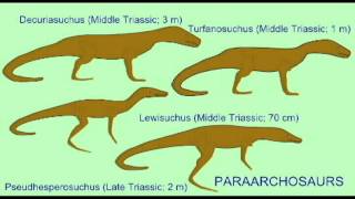 PL EXAM 2 THECODONT DESCENDANTSavi [upl. by Alber]