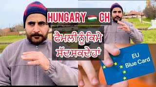 How apply Hungary 🇭🇺 Europe blue cardEurope blue hungary punjab europa [upl. by Mozelle298]