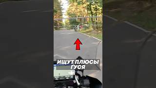 Плюсы BMW GS [upl. by Zilla]