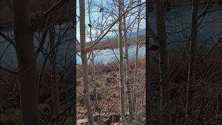 Cabin in Leadville construction coloradolife fun work [upl. by Ike]