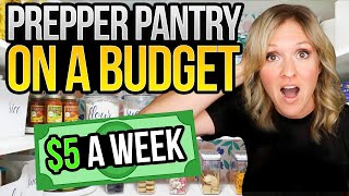 Prepare your Food Storage How to Stock Your Prepper Pantry for Only 5 a Week 2023 [upl. by Saber]