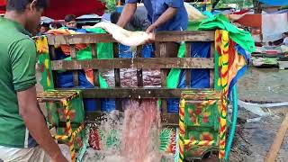 Fish Video With Fish Cart  Village People Sell Fish in The Bazar  Fresh Fishing TV [upl. by Noynek419]