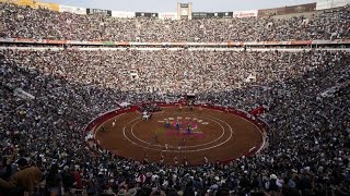 Polémica corrida de toros en Ciudad de México [upl. by Mussman]