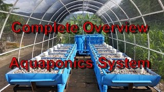 COMPLETE OVERVIEW  Aquaponics System and Greenhouse Build [upl. by O'Malley]