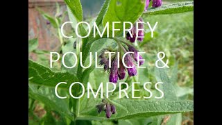 Comfrey Poultice amp Compress [upl. by Shurlock]