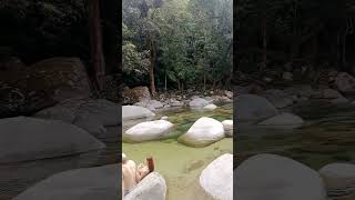 Mossman Gorge A Must Visit Place in Australia nature asmr travel viralvideo [upl. by Ahtikal]