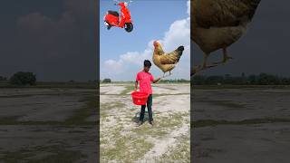 Flying crying babies scooter forg lizard amp parrot catching vs hen 😄 shortsfeed shorts [upl. by Nirek]