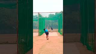 Bounce  Perfect Bouncer  How to hit Bouncer  cricket shorts youtubeshorts [upl. by Acirem]