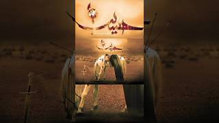 Karbala newviraltrandingIslamicvideo [upl. by Etteyafal]