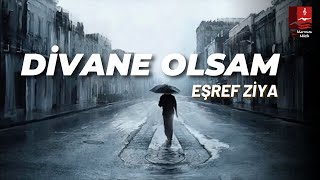 EŞREF ZİYA quotDİVANE OLSAMquot [upl. by Roshan220]