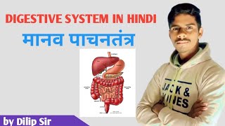 DIGESTIVE SYSTEM ll पाचनतंत्र ll digestive system anatomy ll DMC BODHGAYA ll dilip sir [upl. by Schoof]