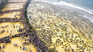 Le Japon A Arrêté De Laisser LOcéan Toucher Le Rivage Et Voici Ce Qui SEst Passé Après Des Années [upl. by Beverle]