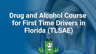 Drug and Alcohol Course for First Time Drivers in Florida TLSAE [upl. by Vins]