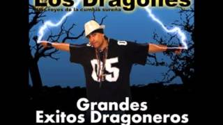 Los Dragones  No Te Voy A Olvidar [upl. by Ardnekat]