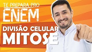 DIVISÃO CELULAR INTERFASE E MITOSE  PONTOS DE CHECAGEM  CANCER [upl. by Aimahs]