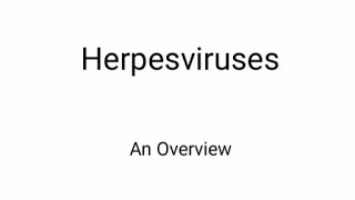 Herpes virus short notes [upl. by Eshman]